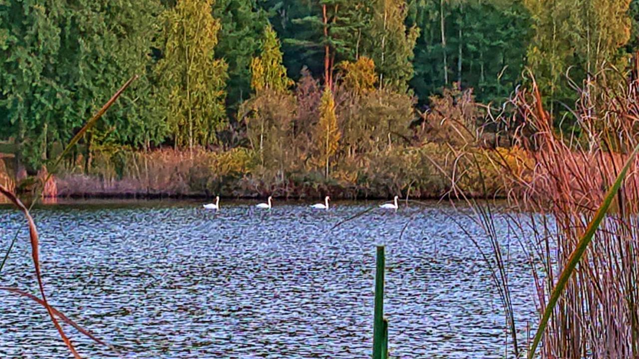 فندق Pensiunea Lacul Mocearu Budesti  المظهر الخارجي الصورة