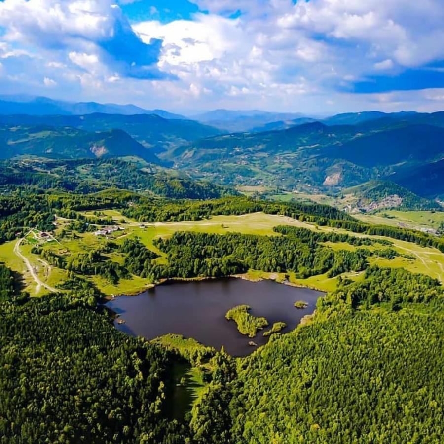 فندق Pensiunea Lacul Mocearu Budesti  المظهر الخارجي الصورة