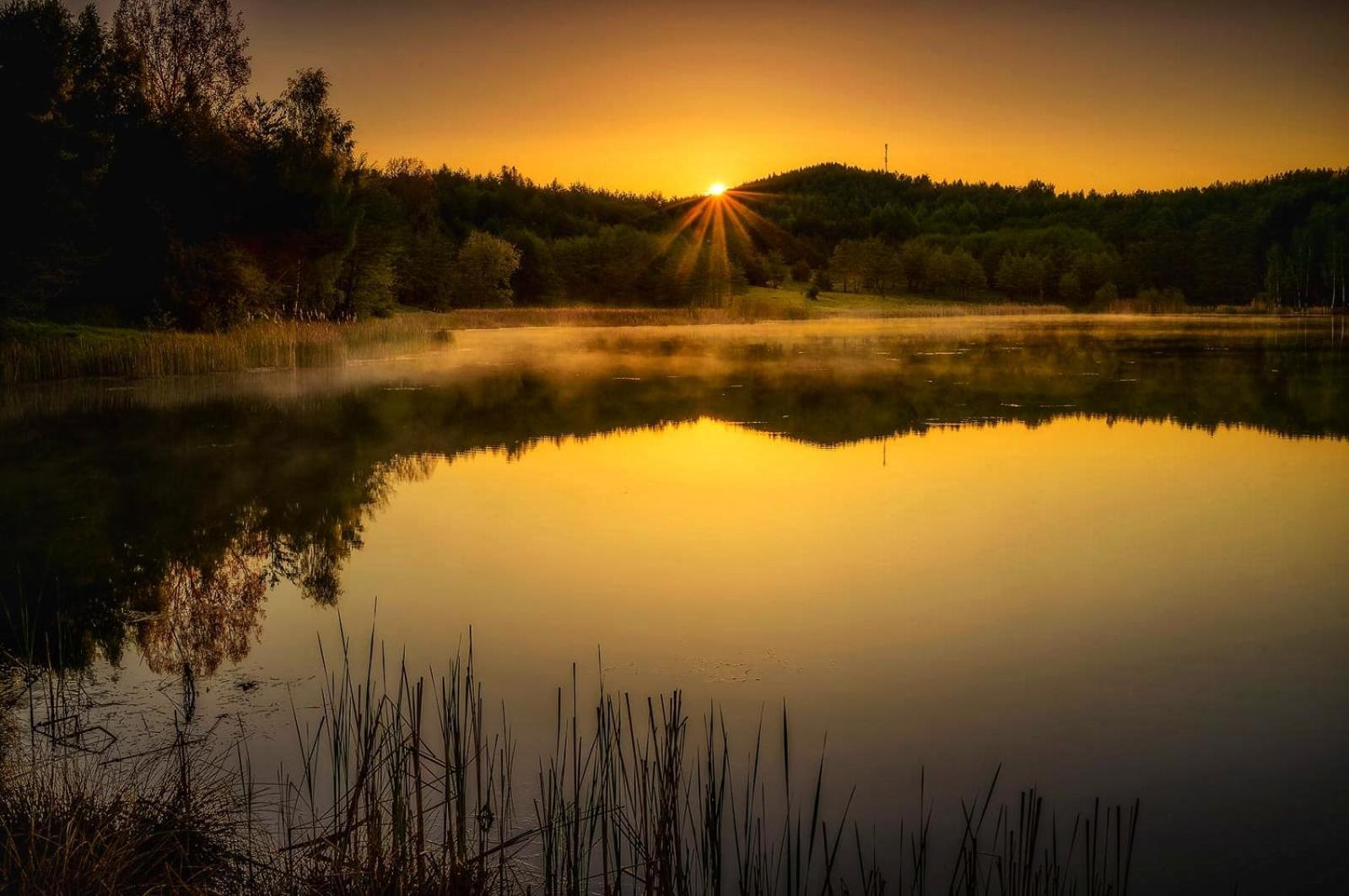 فندق Pensiunea Lacul Mocearu Budesti  المظهر الخارجي الصورة